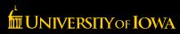 University of Iowa virtual elective